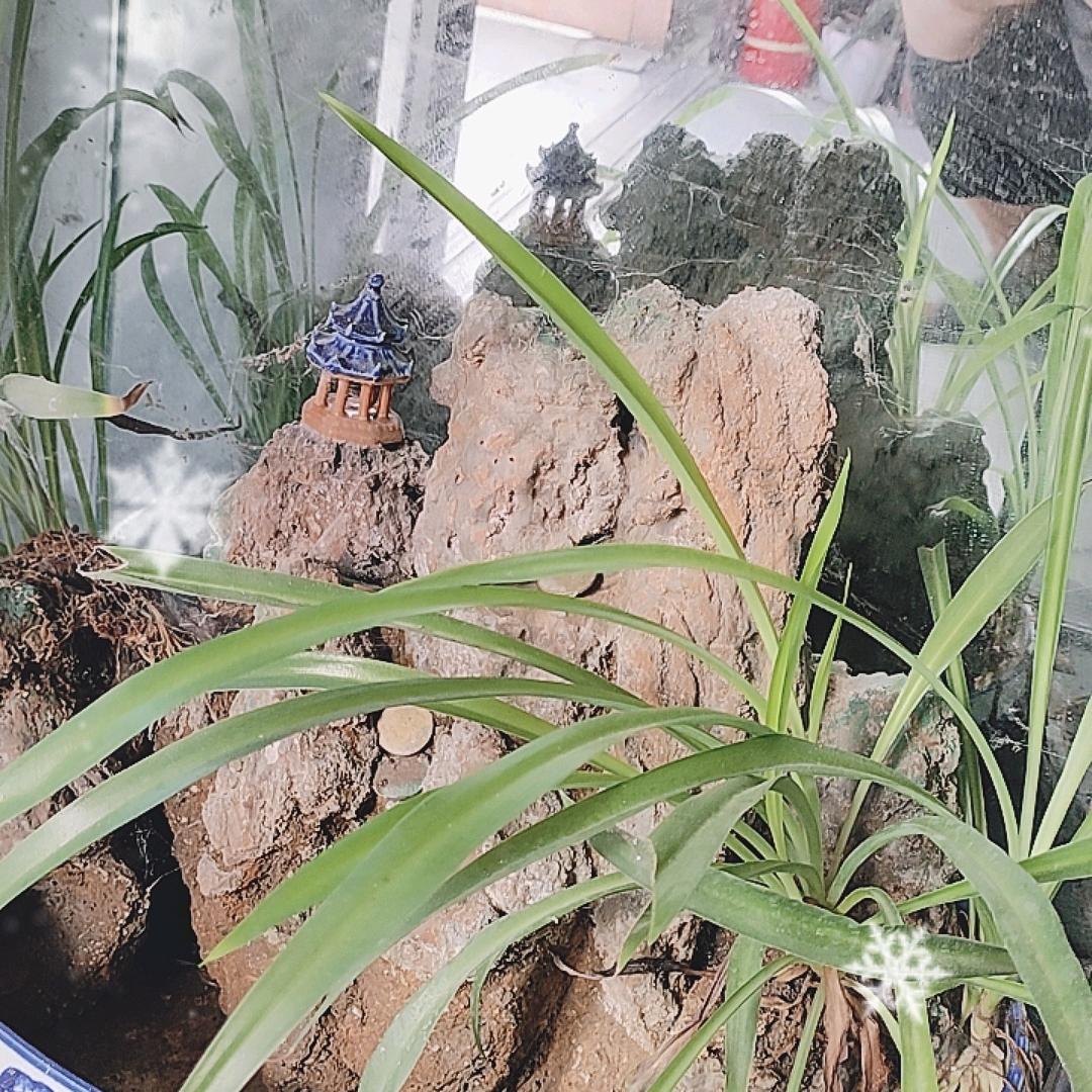 老赵，移门，玻璃门