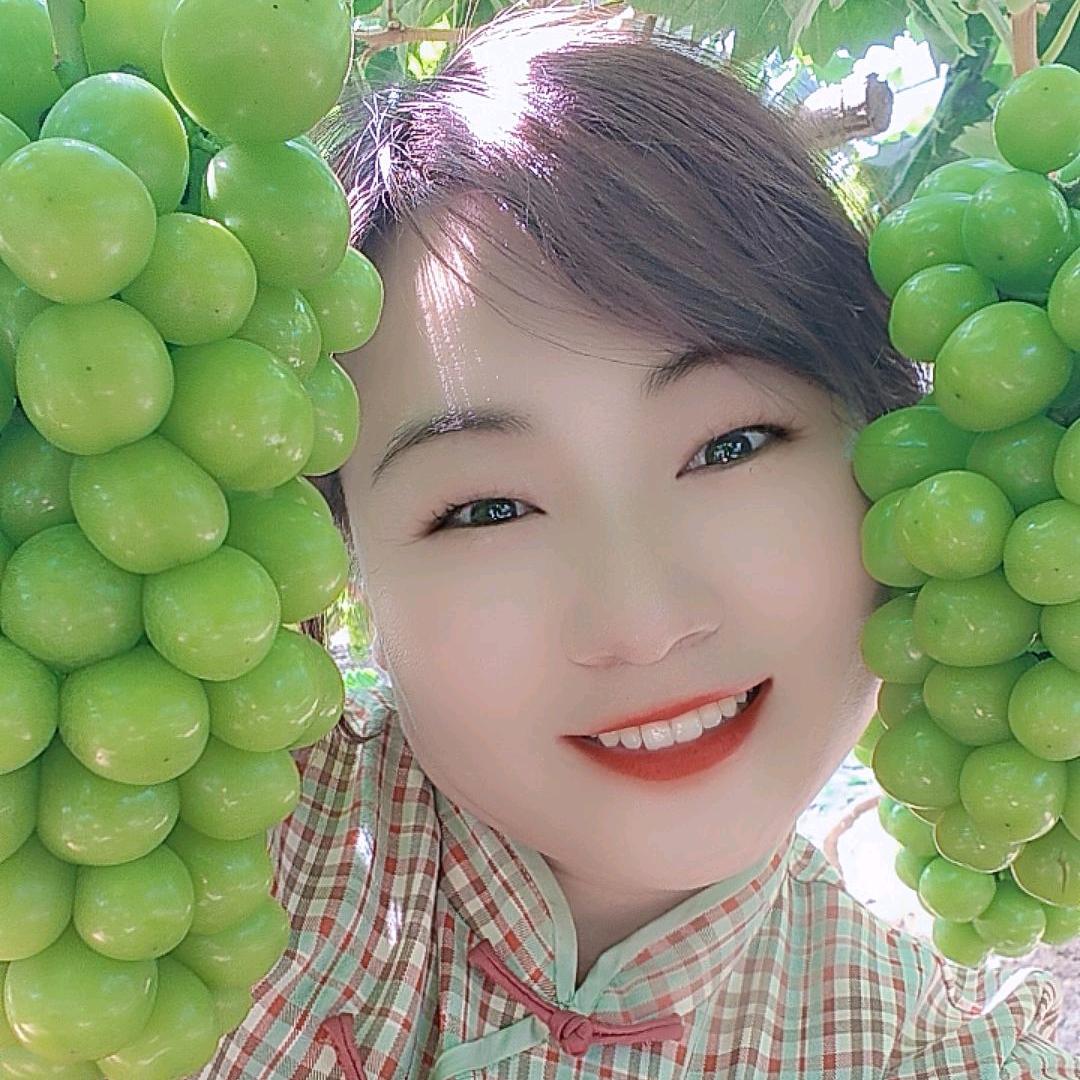 愤怒的小鸟莱西葡萄🍇梨🍐代办