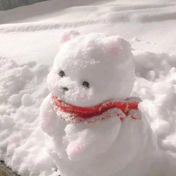 南曦聚金