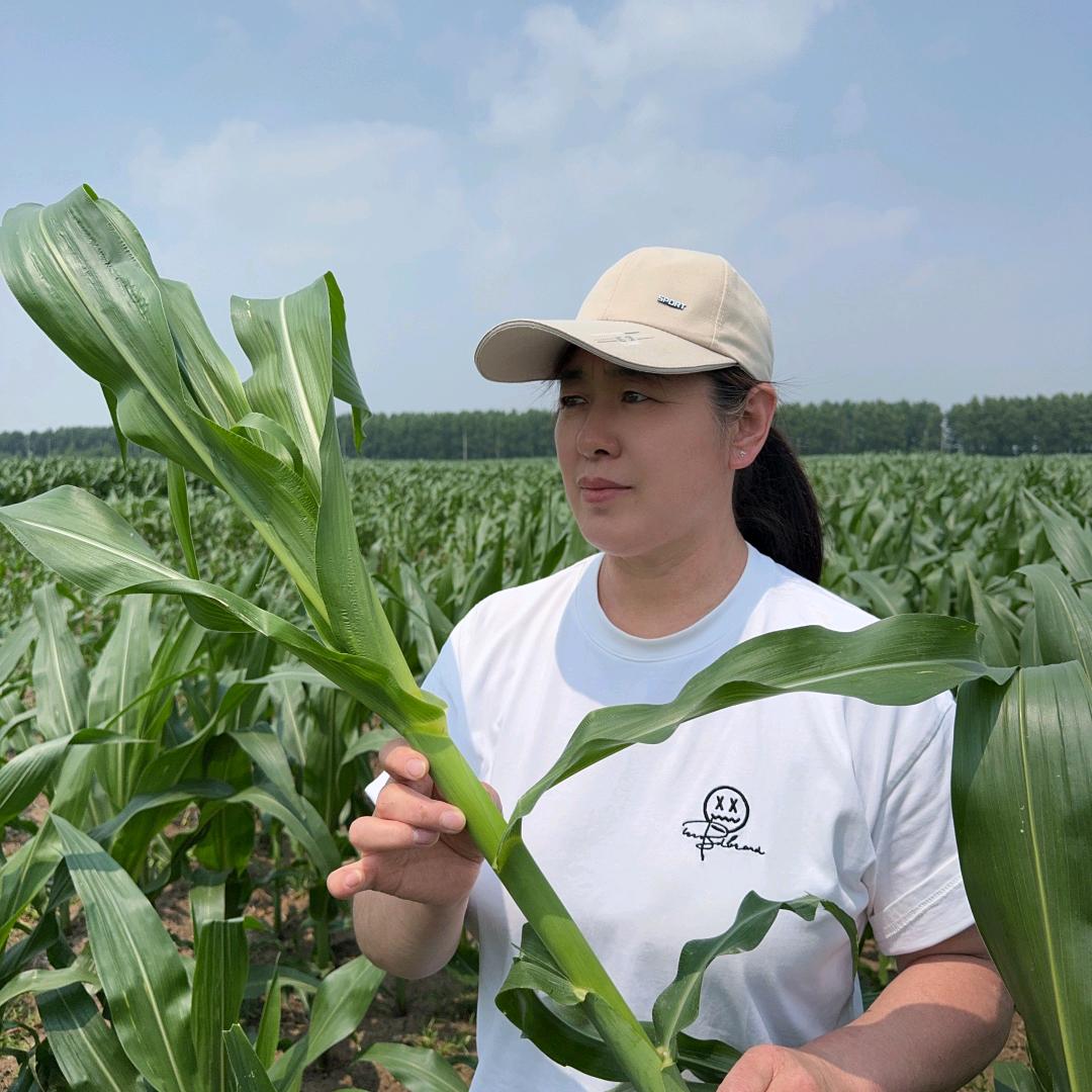 玉禾（东亚种业厂家）