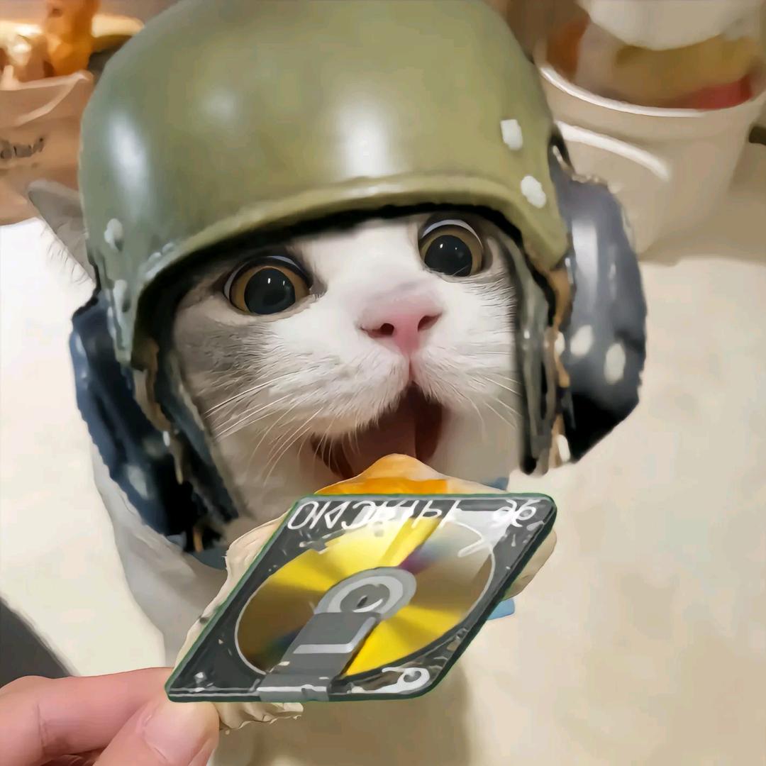 寇十七（暗区pc）