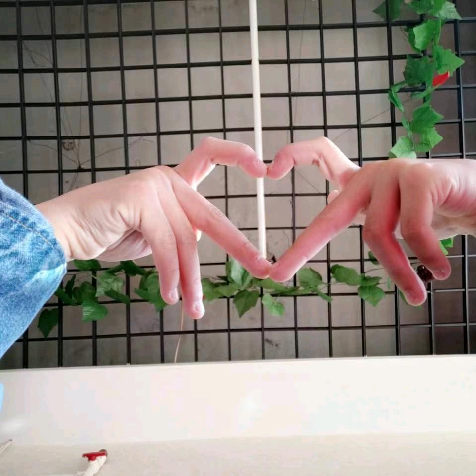 姐不服👊