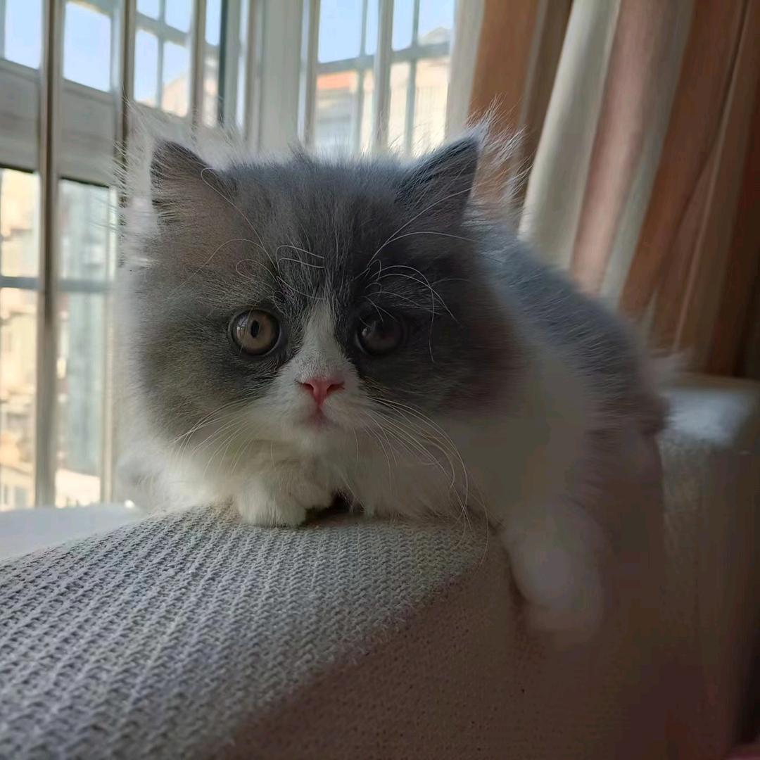 小秋睡醒了吗(≧ω≦)/