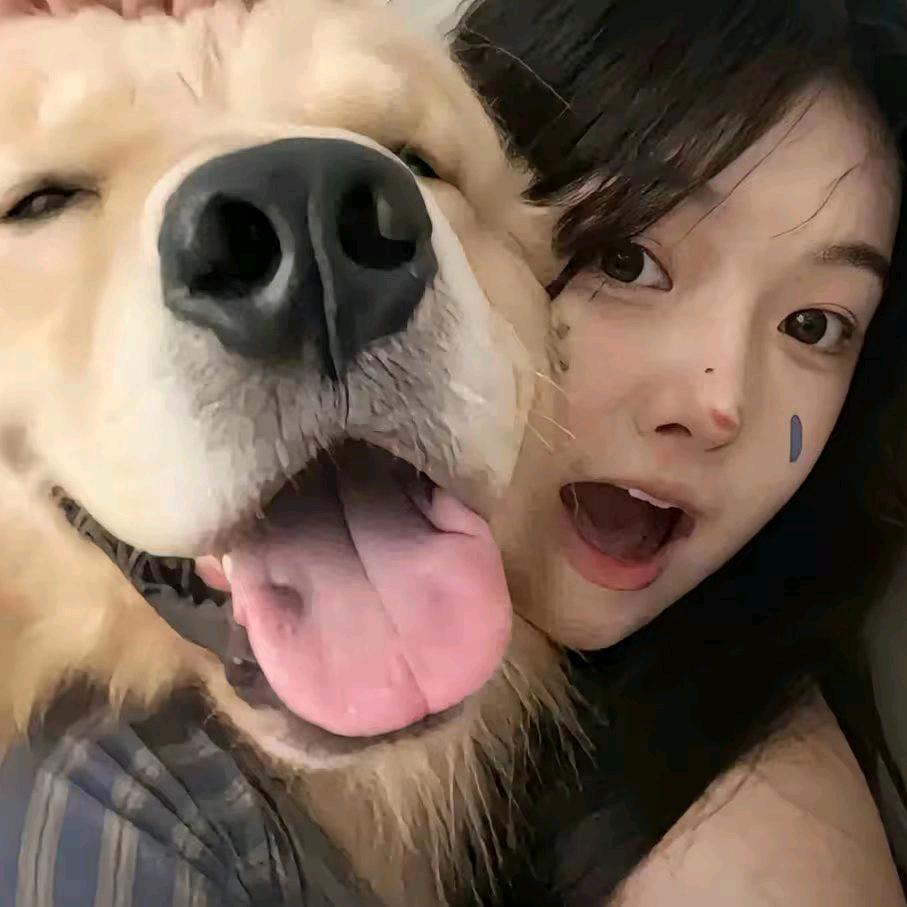 小陈要睡觉