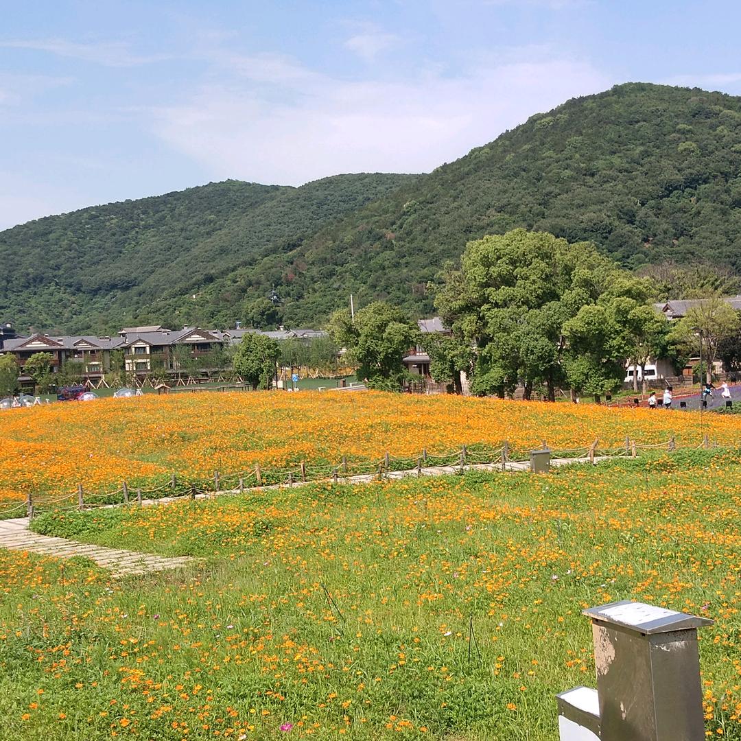 八零后的小哥哥