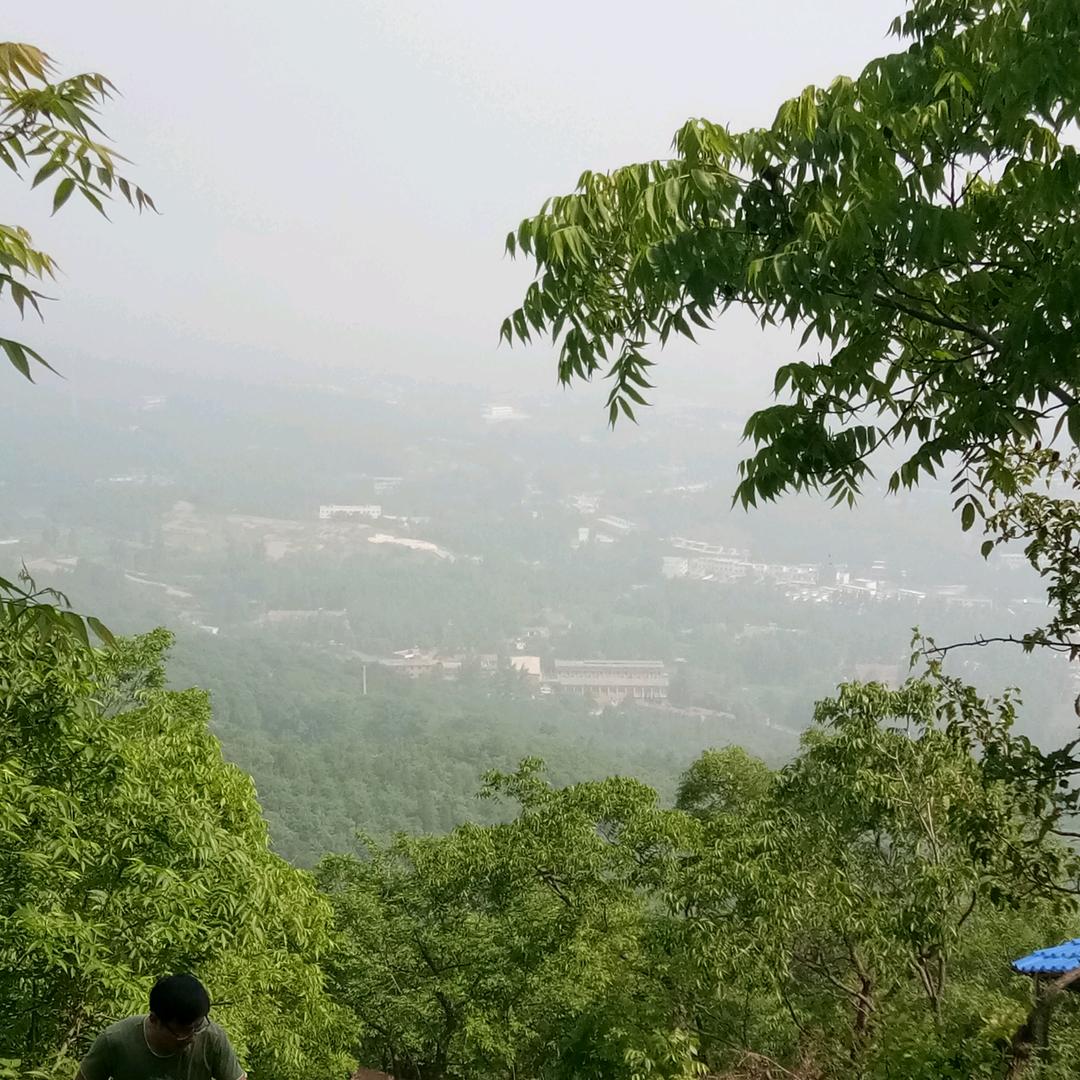 苏曹营村苏东淼