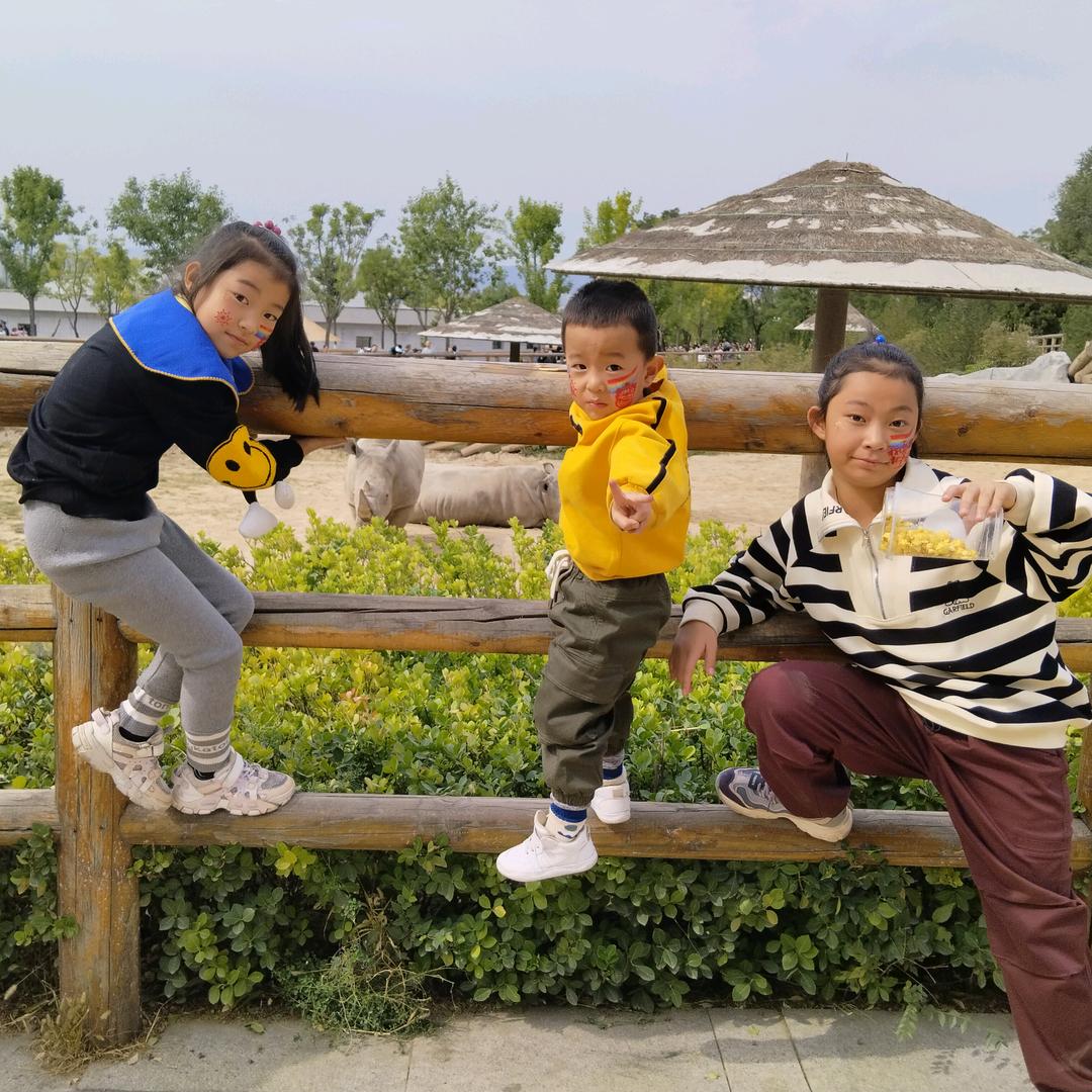 愣头青@王者—直播