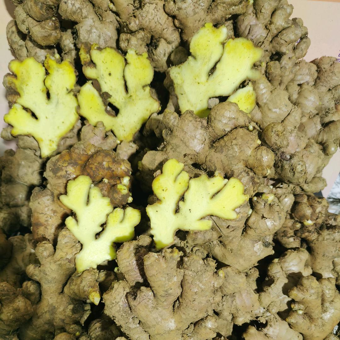 润城农业