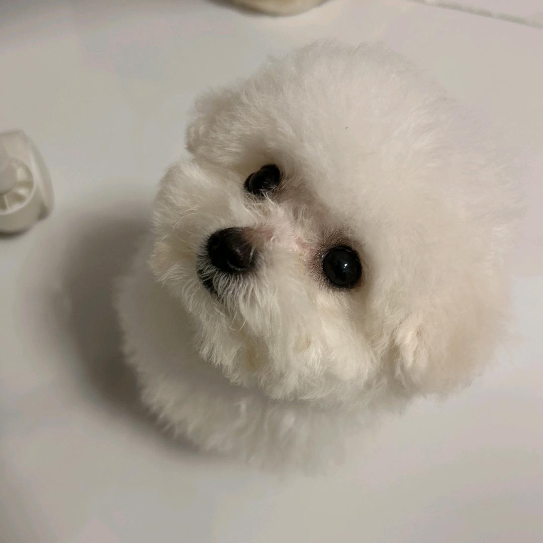 ʕ·͡˔·安于时光ღ᭄ꦿ
