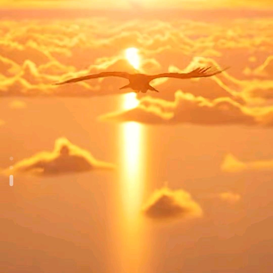 辉ˇ夏