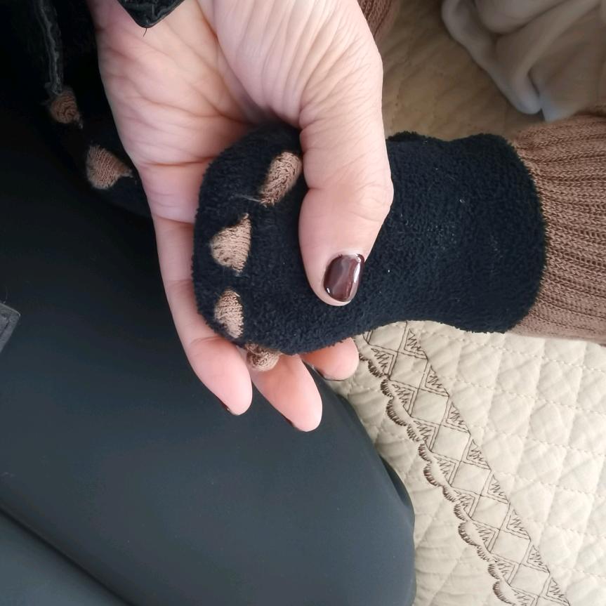 一盧相随