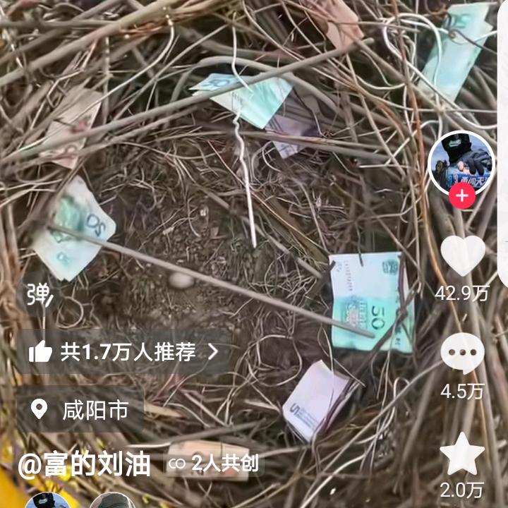 知心朋友在哪里
