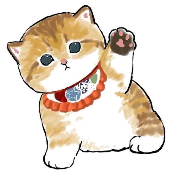 爱计划