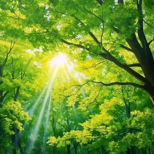 清风渡