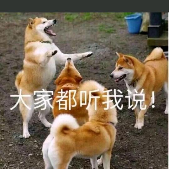 运城《 六六炒鸡》 禹都公园店