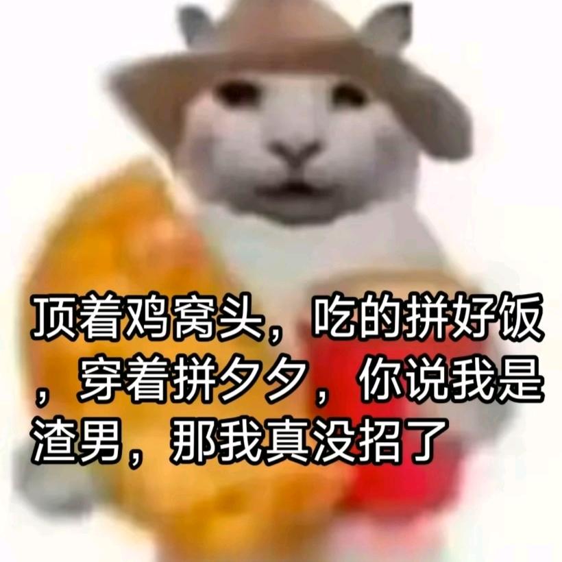 你家的猫会后空翻？