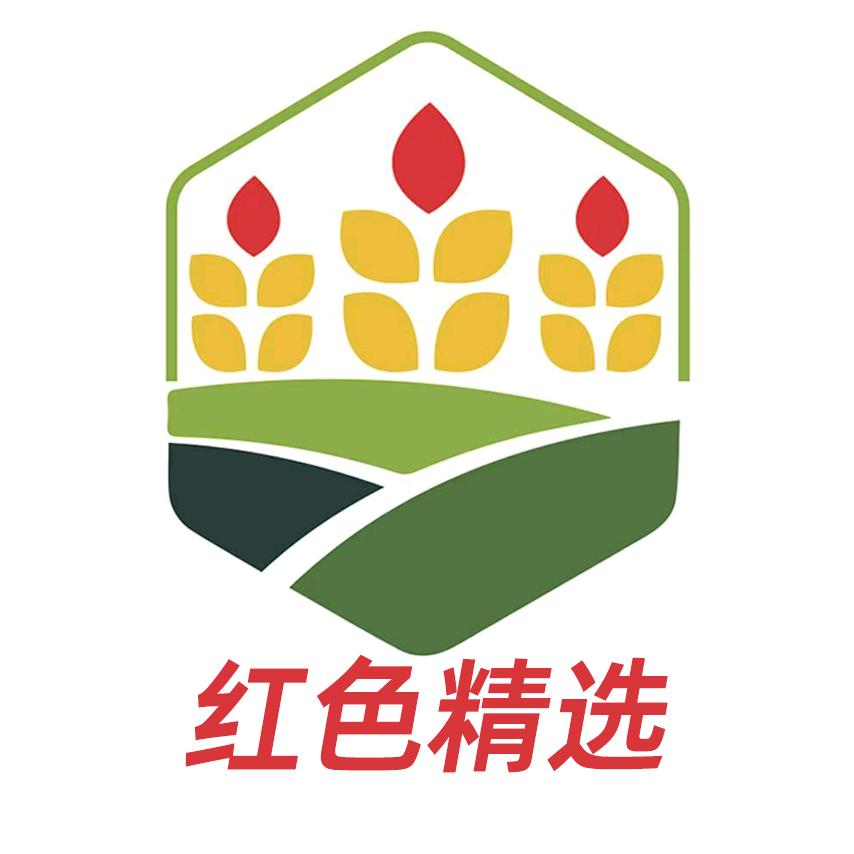 红色精选