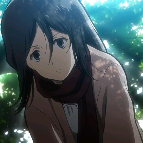 Mikasa