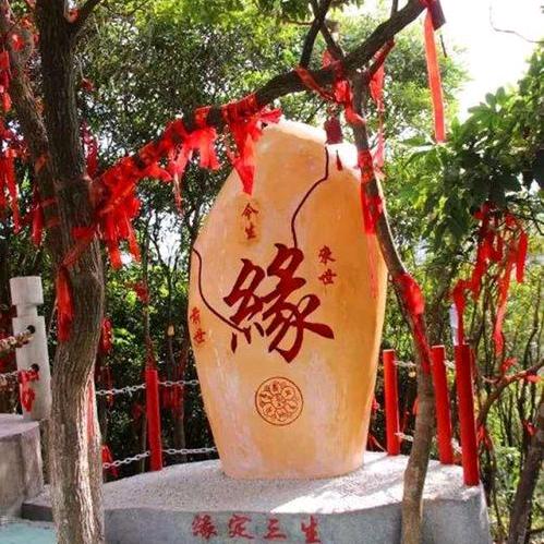 陈姐（晨晨