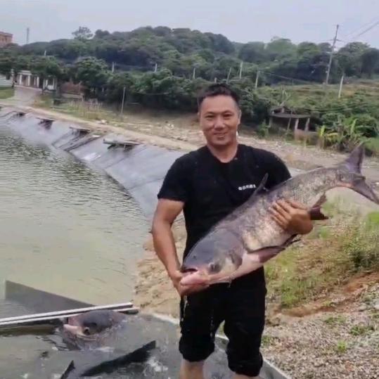 白云钓鱼场