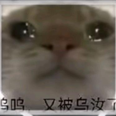 幽默剧场（狗头动画）