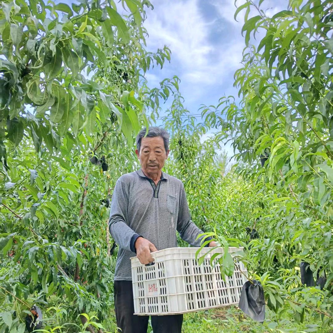 沂蒙山老张家的优品小铺