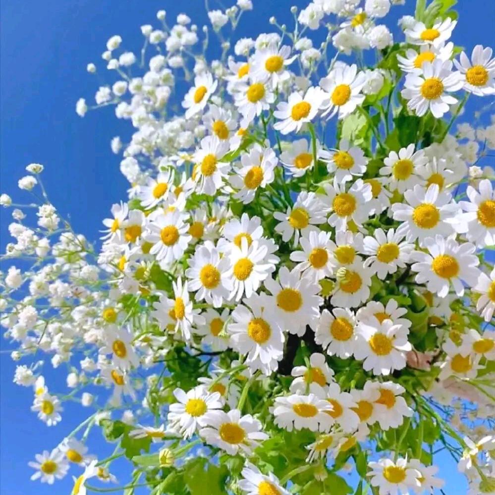 🍉🍉🍉Iloveyou！🍎🍎