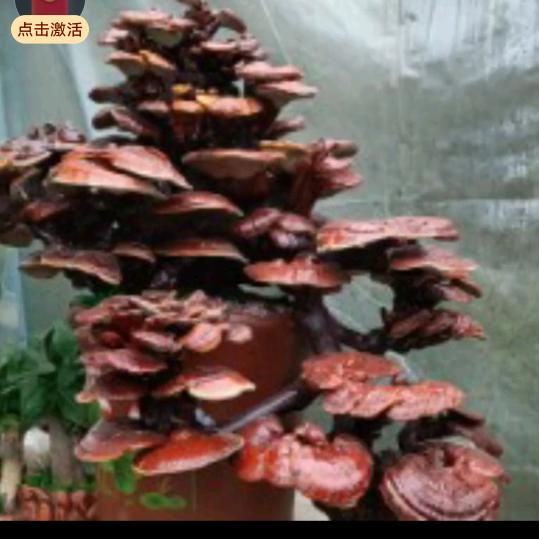 🥀এ᭄凇ꦿ耀💔ོ࿐ᩚ