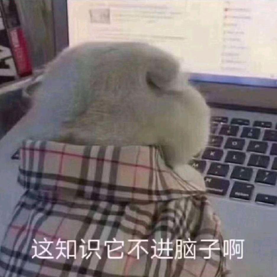 米开朗·芬奇