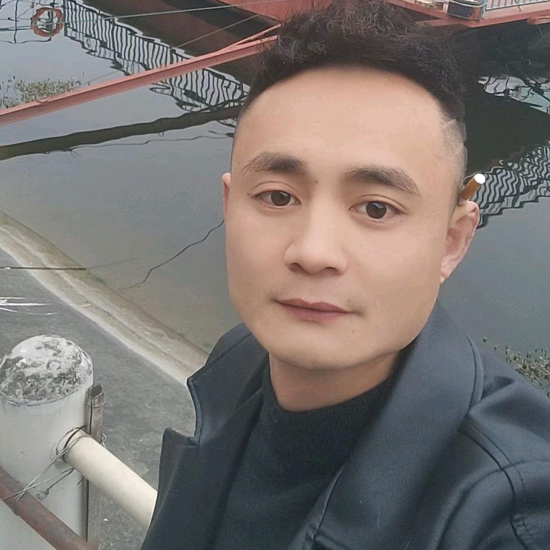 周二歌