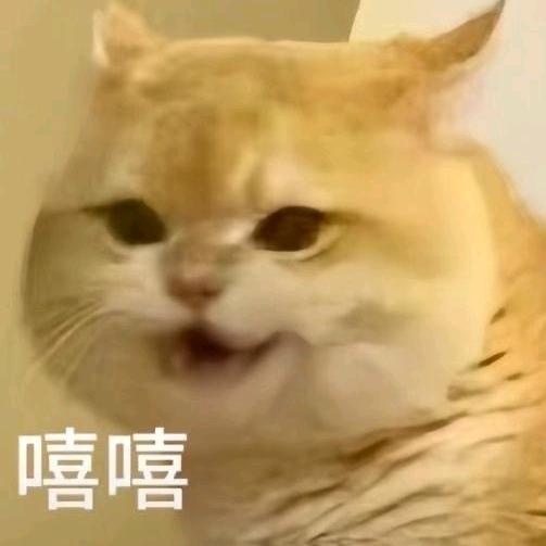 太爻
