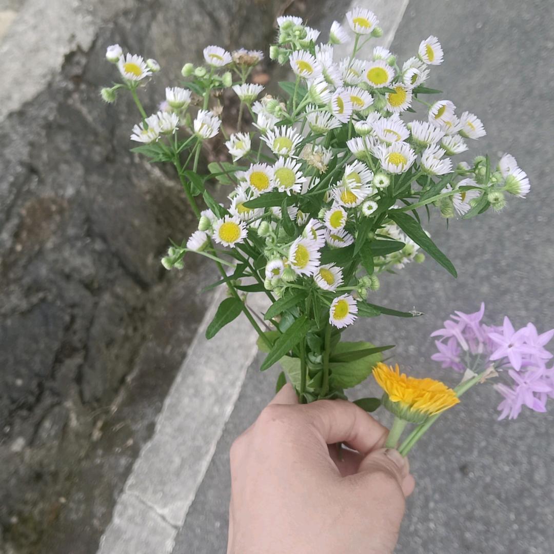 仁怀小姐