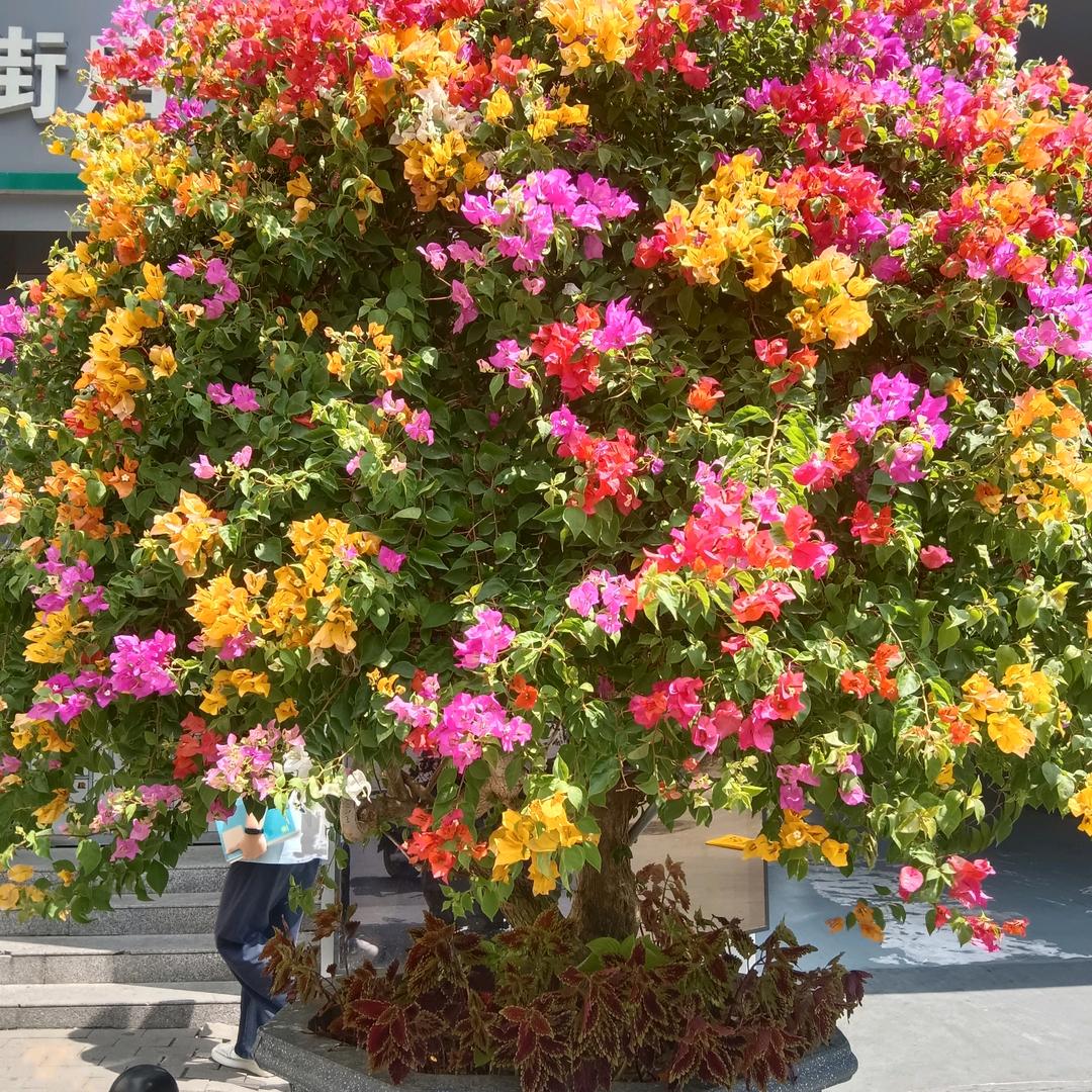 我是70后