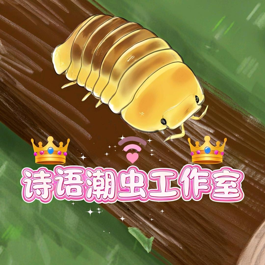 诗语潮虫工作室