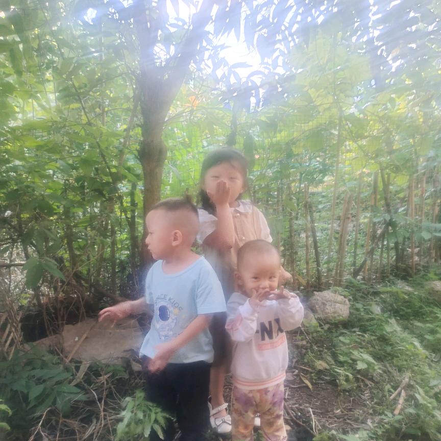 宋你一朵西兰花