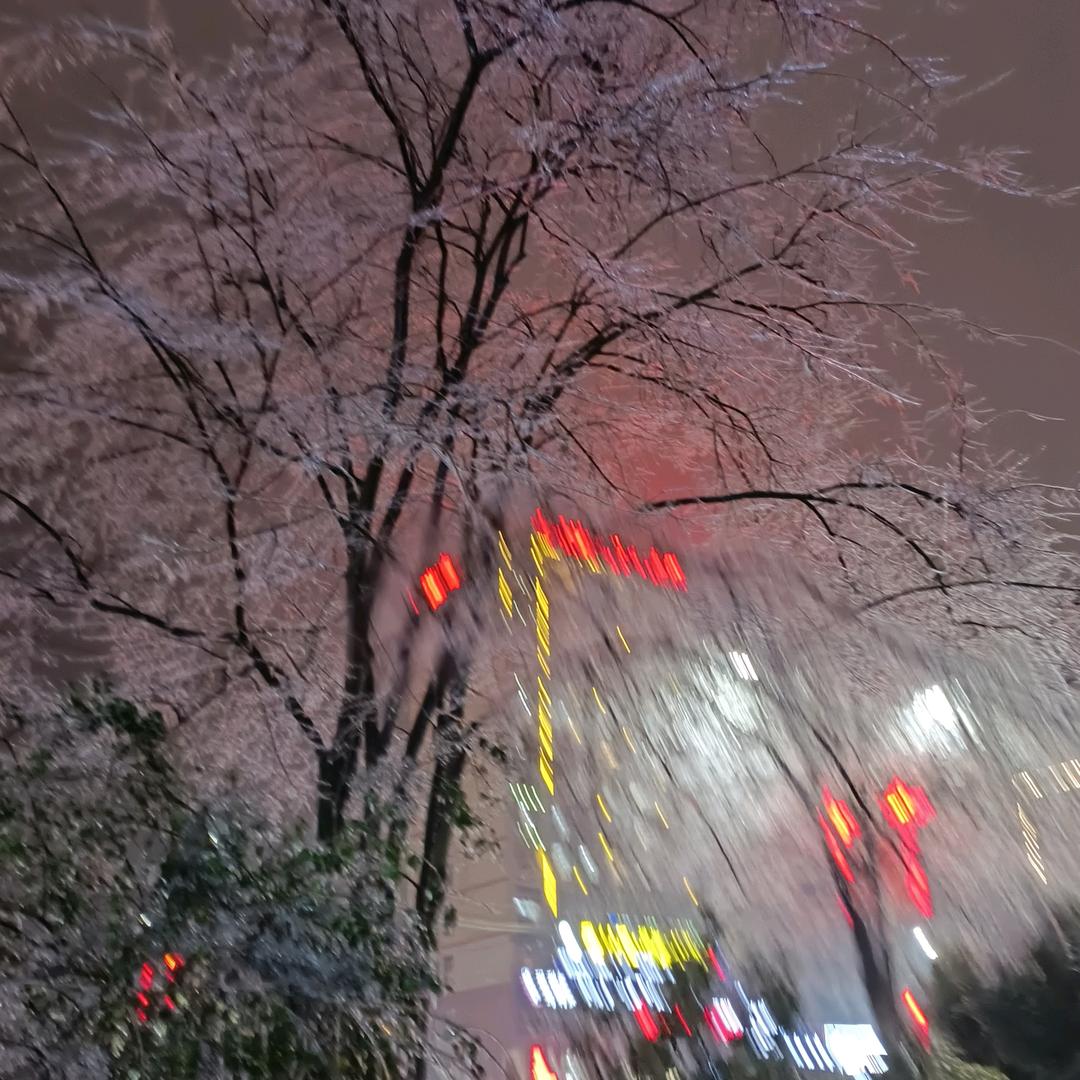 秋天情怀