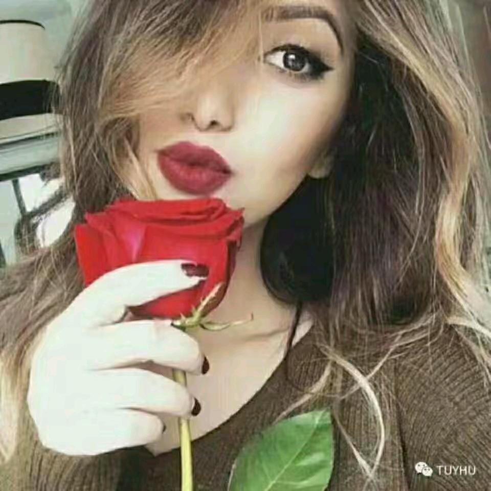 🌹沙伊达🌹