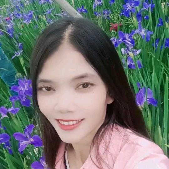 玫瑰花