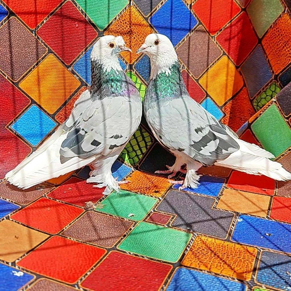 库总🕊