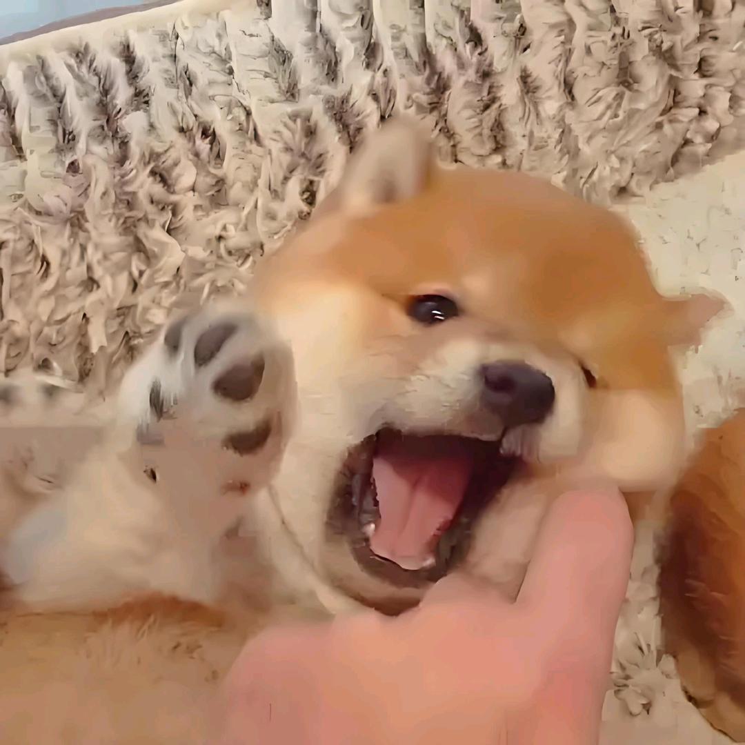 楠楠