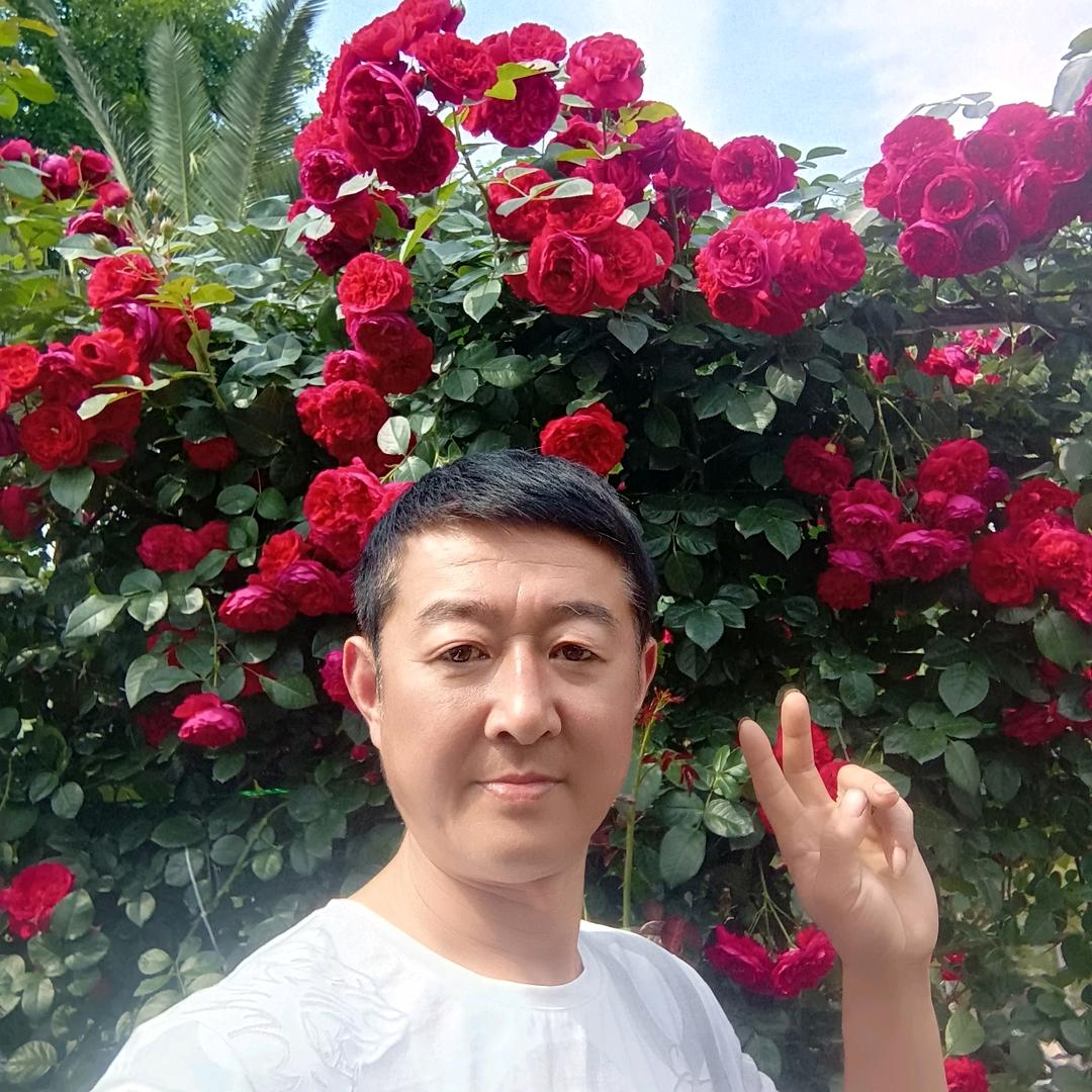 高文农家乐，