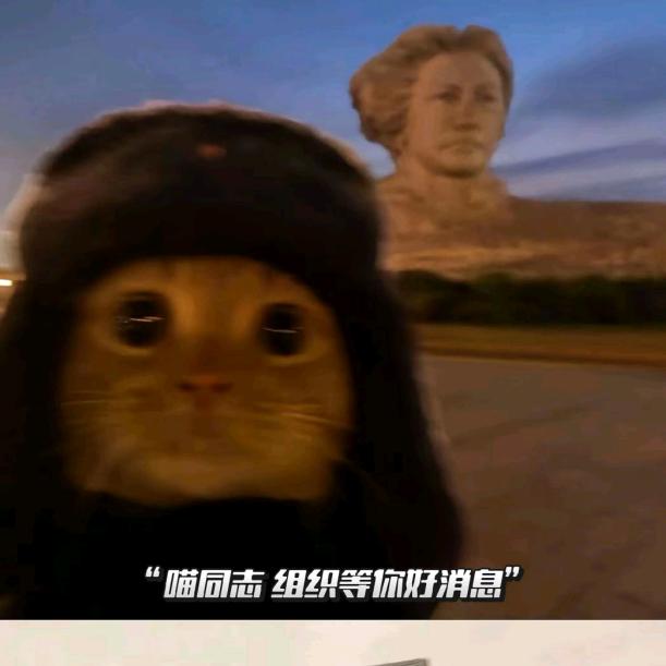 王八吃小鱼