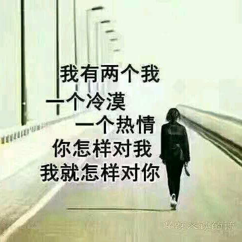 好剧分享