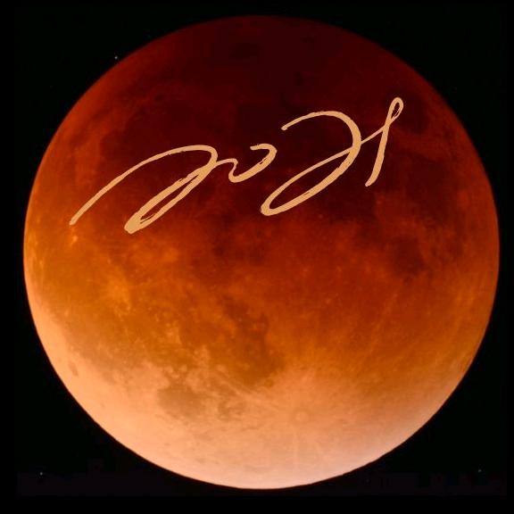 柒夜将杏电子商贸