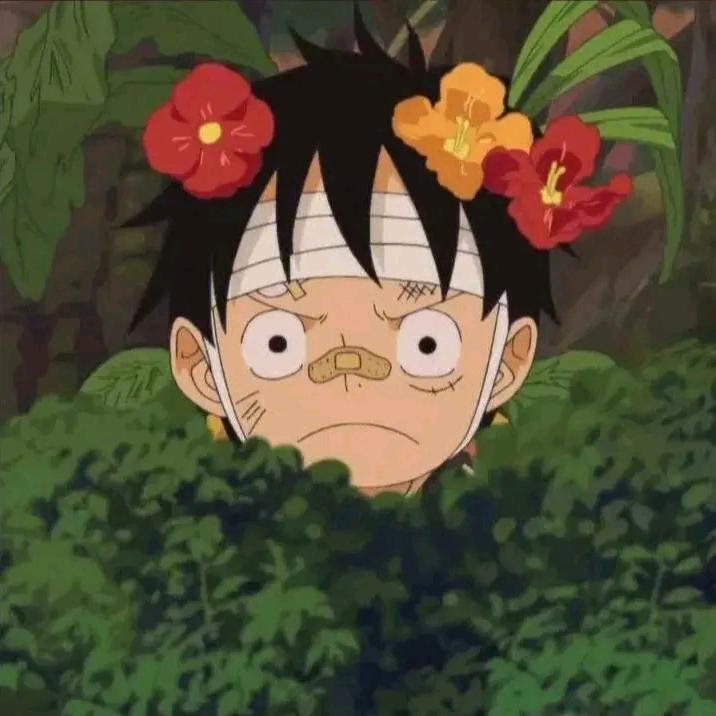 秋天的雨
