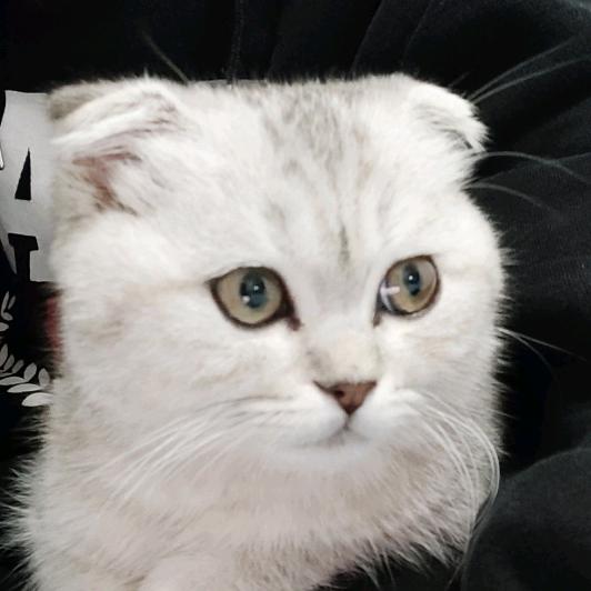 汤姆Tom