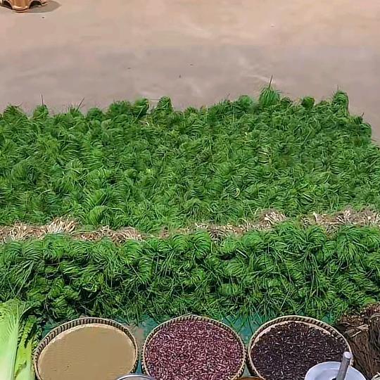 风清扬