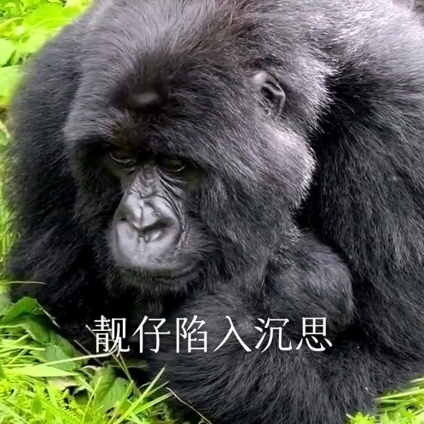 读书读到呶餐饱