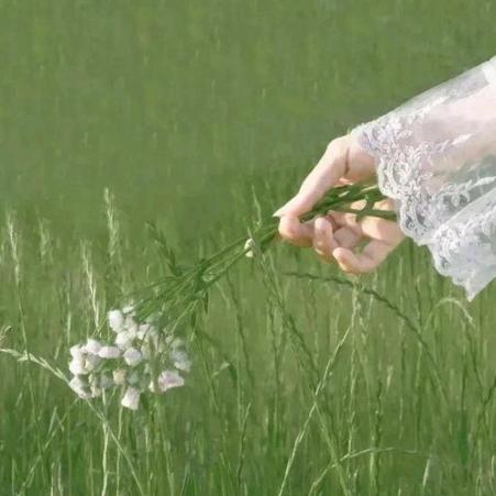 小燕子