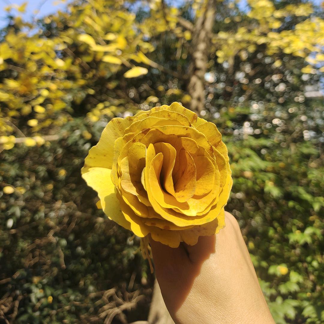 向阳而生（邹）